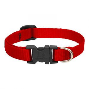 Collar Dog 8-12 1/2in Red