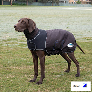*dog Wb Cozi Blue White