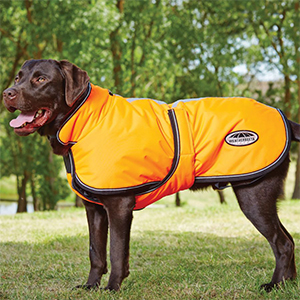 Dog Coat Wb Deluxe Reflect