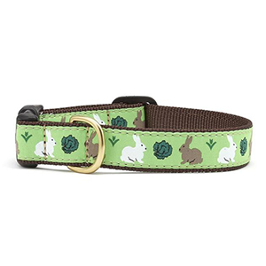 Collar Dog Garden Rabbit