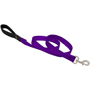 *leash Dog 4ft 1in Purple