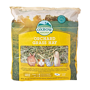 OXBOW ORCHARD GRASS 40oz