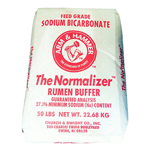 Arm & Hammer Sodium Bicarbonate [50 lb]