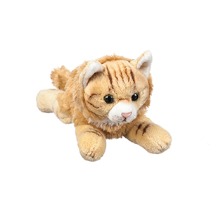 Plush Ever Maine Coon 8