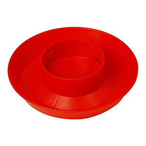 Chick Fount Qt  Base Red