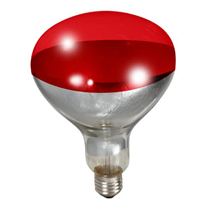 Heat Lamp Red Bulb 250 W