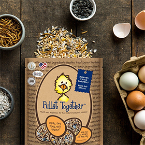 *treats For Chickens Pullet 29