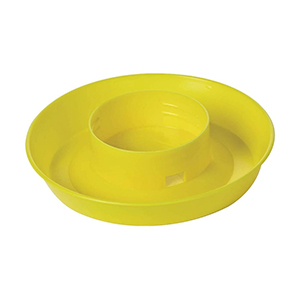 Chick Fount Qt Base Yellow