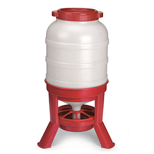 *chicken Dome Feed 60#