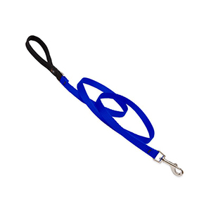 Leash Dog 4ft 1/2in Blue