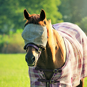 Fly Repellents