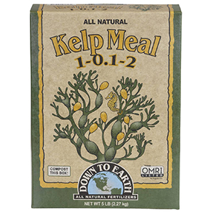Fert Dte Kelp Meal 4#