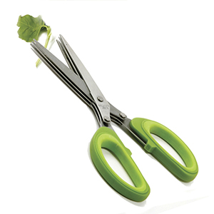 Scissors Herb