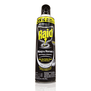 Raid Wasp Hornet Spray 17.5oz