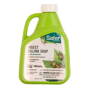 Insect Soap Safer 16oz Conc