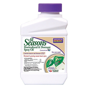 Spray All Season Oil Pt Conc