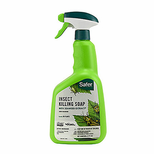 Safer Insect Killing Soap 32oz