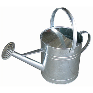 Watering Can Galv Miller 10qt