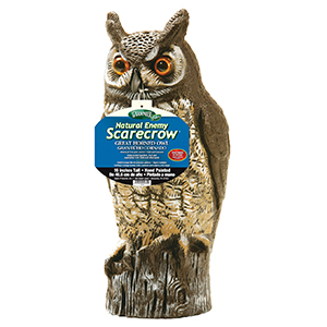 Repel Owl Molded