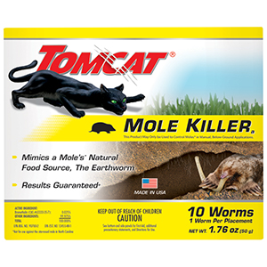 Mole Worms 10pk