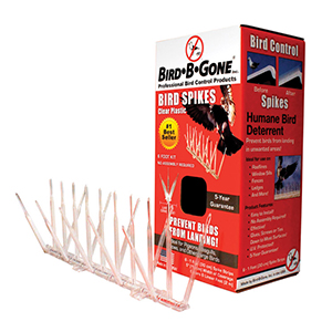 Bird Spikes Plastic