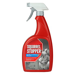 Repel Squirrel Stop 32oz Rtu