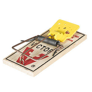 Trap Easy Set Mouse Victor 2pk