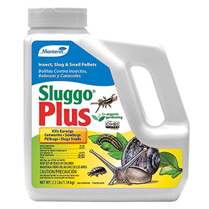 Bait Sluggo Plus 2.5#