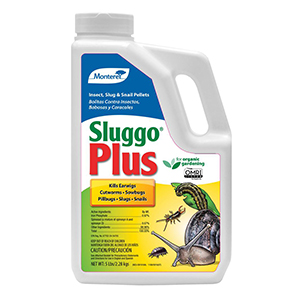 Bait Sluggo Plus 5#
