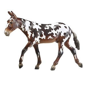 Breyer Buckeye