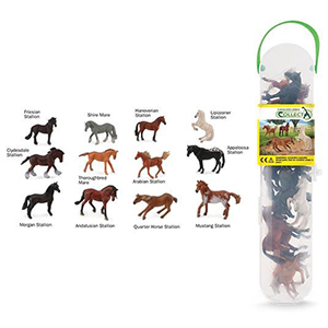 Box Set Mini Horses