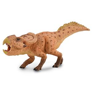 *corral Pal Proceratops W/jaw