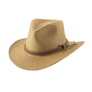 *hat Viceroy