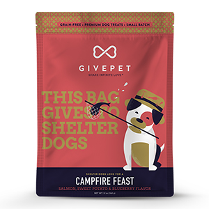 Treat Give Campfire 12oz