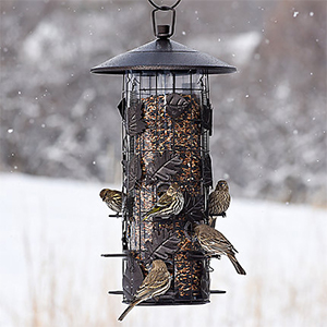 Bird Feeder Squirrel Gone 3