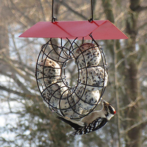 Feeder Suet Ball Ring W/roof