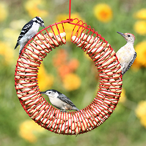 Feeder Wreath Whole Peanut