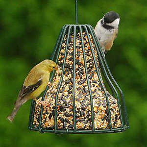 Bird Feeder Seed Bell