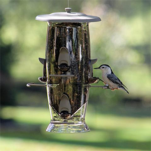 Bird Feeder Abundance 6#