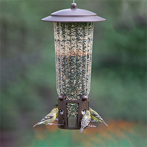 Feeder Bird Squirrel X 4.2#