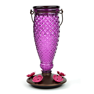 Feeder Humm Purple 24oz