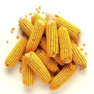 Corn On The Cob 4#