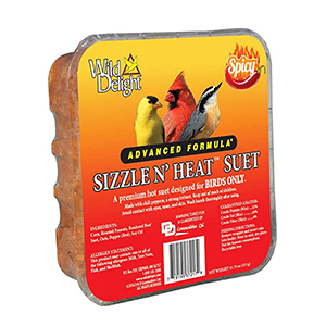 Suet Wd Sizzle N Heat 11oz