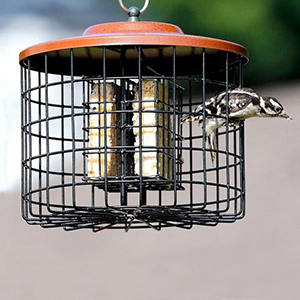 Feeder Squirrel Proof Suet