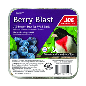 Suet Ace Berry Blast 11oz