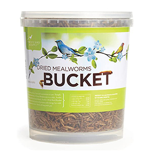 Bird Pb Treat Mealworm Dried