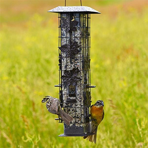 Bird Feeder Squirrel-be-gone