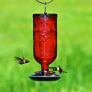 Feeder Humm Antique Red