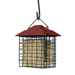 Bird Feeder Suet Dbl