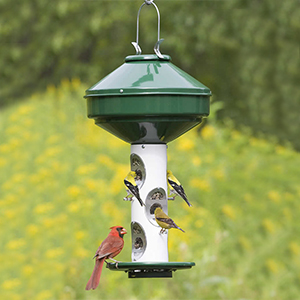 Feeder Bird 3 Gal Seed